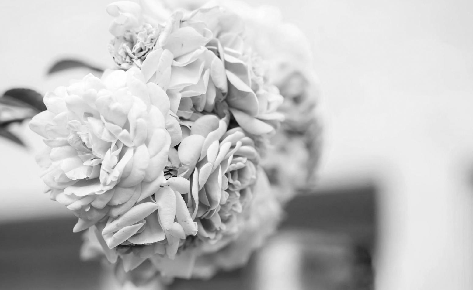 Вхід до студії флористики Gor Wapten